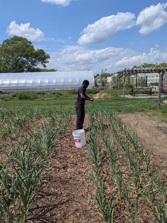 Soil sampling · New London